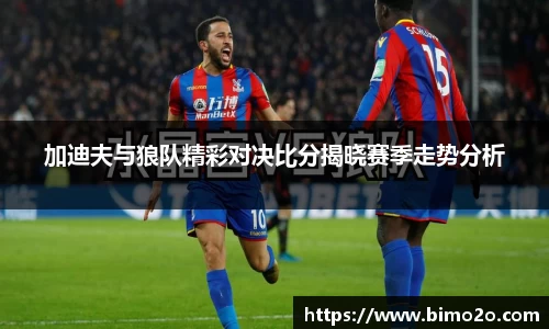 加迪夫与狼队精彩对决比分揭晓赛季走势分析